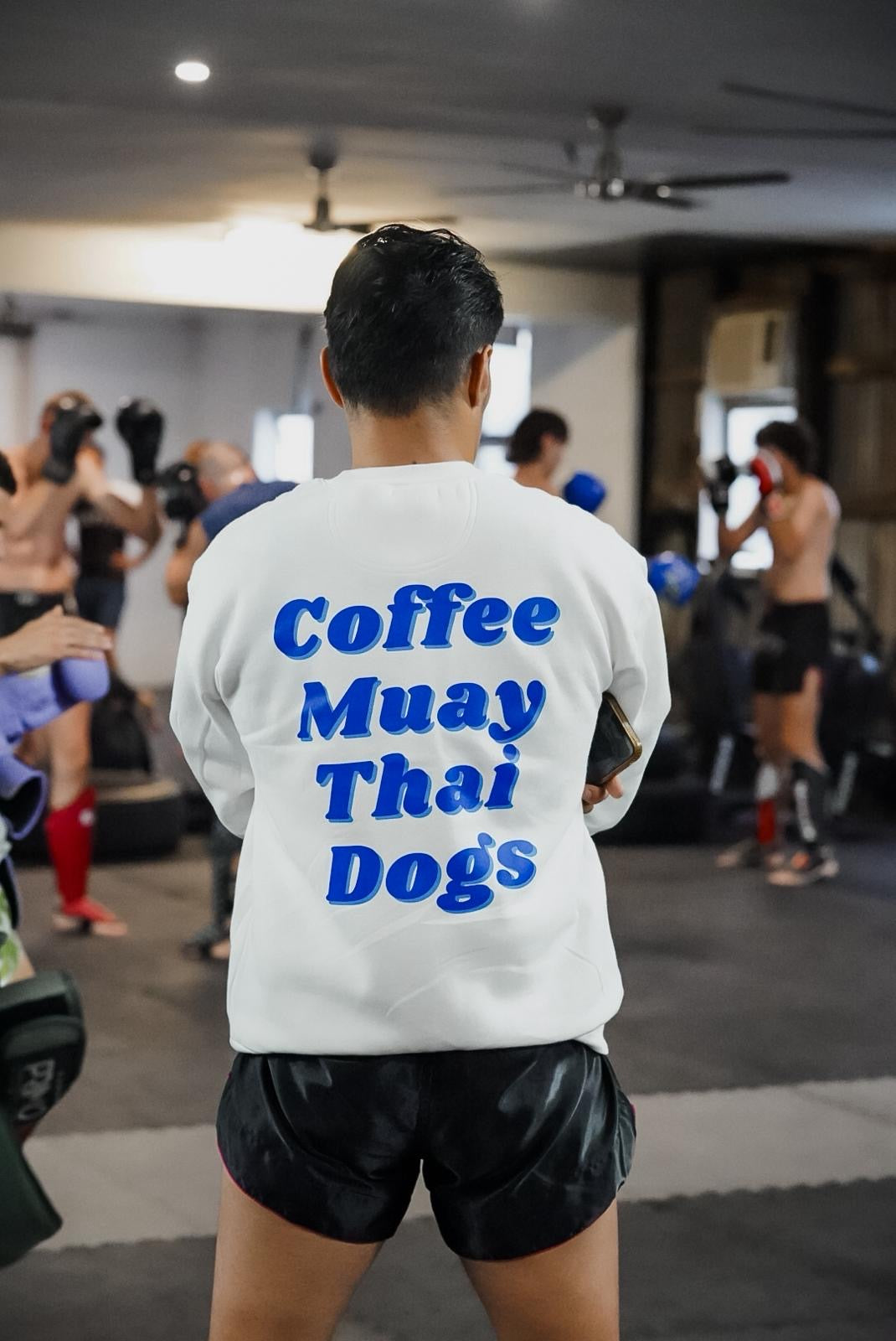 LIMITED RELEASE - Retro Blue Three Things Thai Sweater - Coffee, Muay Thai, Dogs